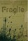Fragile