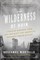 The Wilderness of Ruin