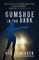 Gumshoe in the Dark