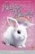 Bentley, S: Magic Bunny: Chocolate Wishes