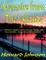 Memoirs from the Lakeside
