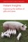 Instant Insights: Improving the Welfare of Gilts and Sows
