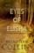 Eyes Of Elisha