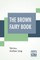 The Brown Fairy Book