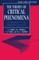 The Theory of Critical Phenomena