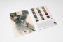 Roojen, P: Edgar Degas