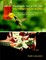 Husbands Are a Lot Like Hummingbirds: Once You Start Feeding Them, They Become Dependent On You