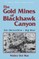 The Gold Mines of Blackhawk Canyon