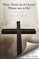 What Think ye of Christ? Whose Son is He?