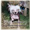 Small Dog - Big Adventure