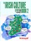The Irish Culture Book 2 - Student Book