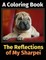 The Reflections of My Sharpei