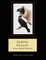 Jackdaw