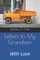 Letters to My Grandson