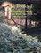 The Book of Awakening: Images and Words That Uplift the Human Spirit