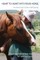 Heart to Heart with Your Horse