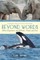 Beyond Words: What Elephants and Whales Think and Feel (a Young Reader's Adaptation)