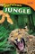 Survival! Jungle