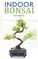 Indoor Bonsai
