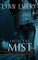 Into The Mist