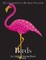 The Geometric Collection Presents: Birds