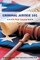 Criminal Justice 101