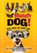 Hot Diggety Dog