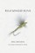 Blue Winged Olive