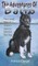 The Adventures of Balto