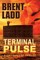 Terminal Pulse
