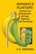 Bananas and Plantains