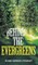 Behind the Evergreens