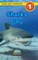 Sharks / &#49345;&#50612;