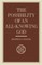 Possiblity Of An All-Knowing God