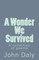 A Wonder We Survived