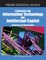 Strategies for Information Technology and Intellectual Capital