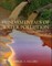 Water Pollution Calculations