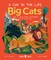 Big Cats (a Day in the Life)
