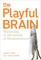 Playful Brain