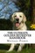 The Ultimate Golden Retriever Handbook