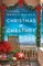 Christmas in Chestnut Ridge