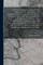 Journey From Buenos Ayres, Through the Provinces of Cordova, Tucuman, and Salta, to Potosi, Thence by the Deserts of Caranja to Arica, and Subsequently to Santiago de Chili and Coquimbo, Undertaken on Behalf of the Chilian and Peruvian Mining Association