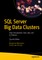 SQL Server Big Data Clusters