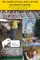 The Agricultural and 4-H Fair - Southeast Edition