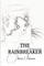 The Rainbreaker