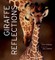 Giraffe Reflections