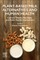 Plant-Based Milk Alternatives and Human Health