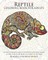 Reptile Coloring Book For Adults