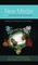 New Media and Intercultural Communication