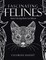 Fascinating Felines
